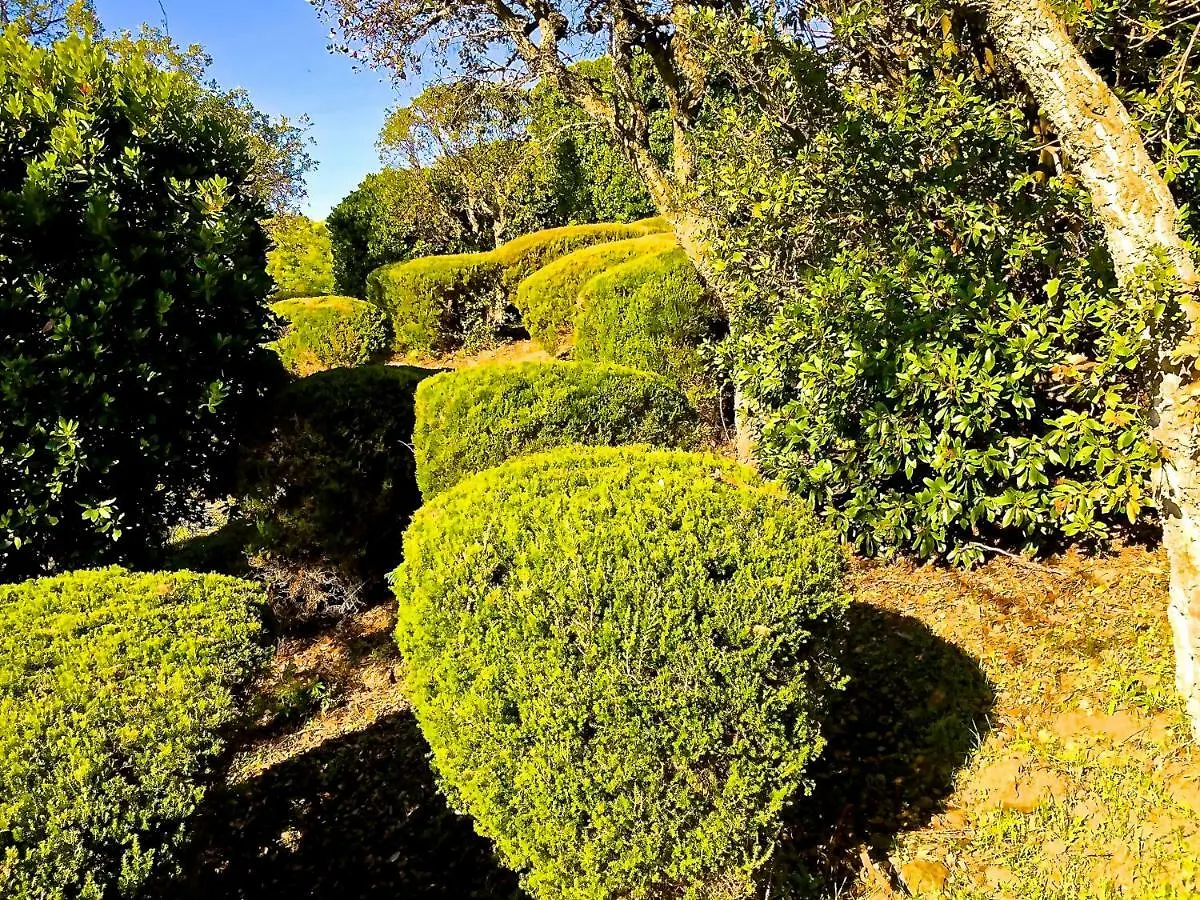 Villa Reve De Sud Les Issambres